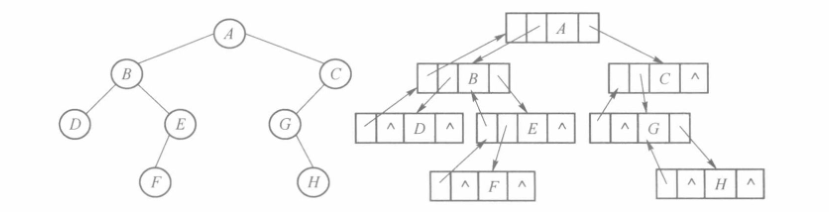 三叉链表示例